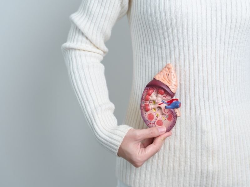 Cirurgia de calculo renal minimamente invasiva Curitiba 1