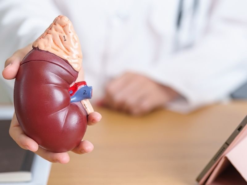 Cirurgia de calculo renal minimamente invasiva Curitiba