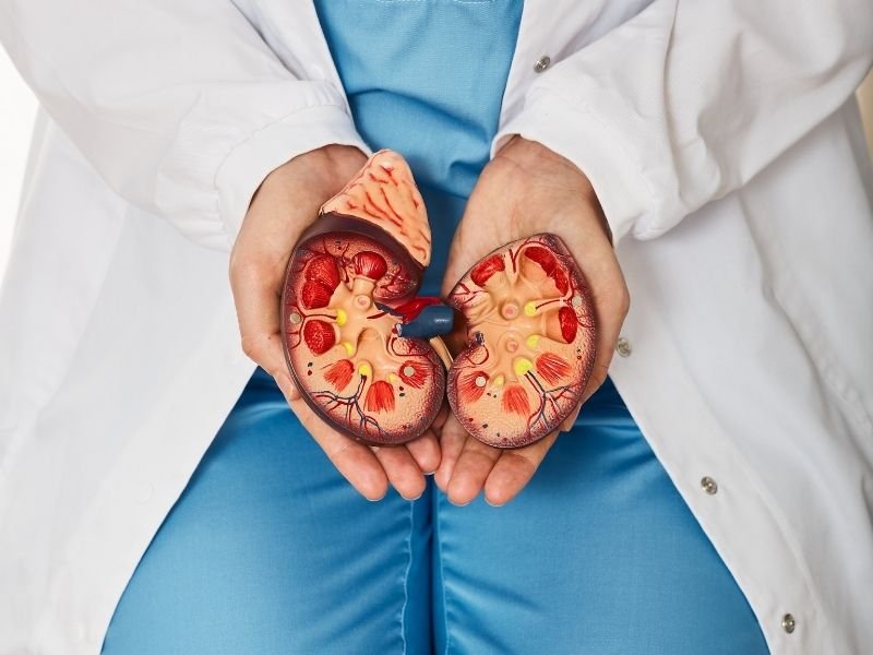 Cirurgia de pedras nos rins com laser Curitiba