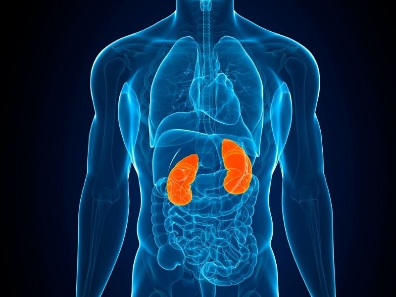 Cirurgia robotica Curitiba