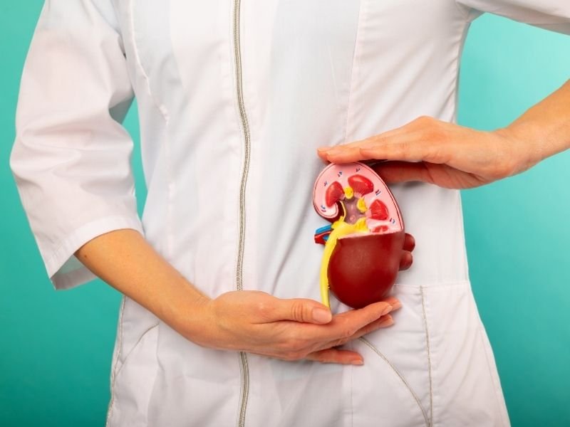 Procedimento para calculo renal Curitiba