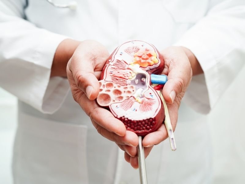 Recuperacao cirurgia calculo renal Curitiba