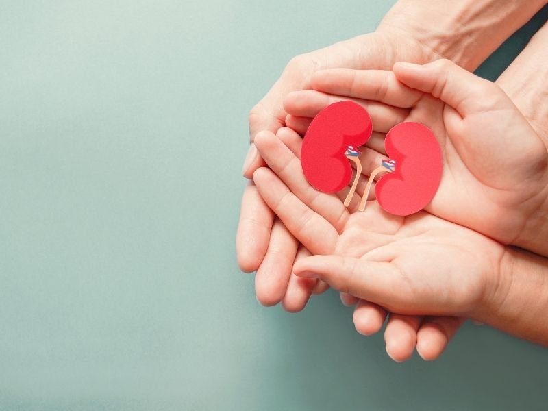 Tratamento de calculo renal Curitiba