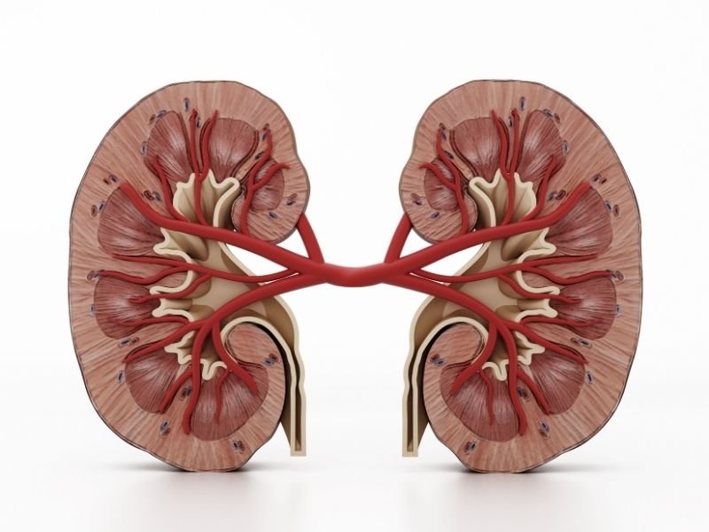 Tratamento laser calculo renal Curitiba
