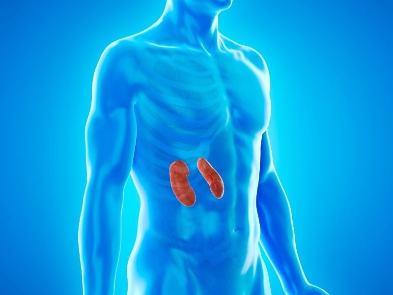 Tratamento nao invasivo calculo renal Curitiba